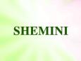 Integridad vs Ambición Shemini