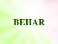 ¿Confías en Di-s o meramente Crees en El - Behar